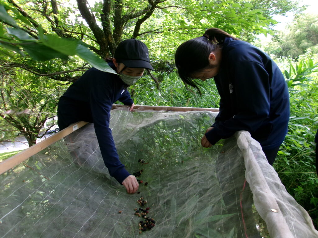 現在の画像に代替テキストがありません。ファイル名: 499_0534.jpg